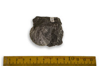 F 00304
<br/>
<br/>
<em></em>